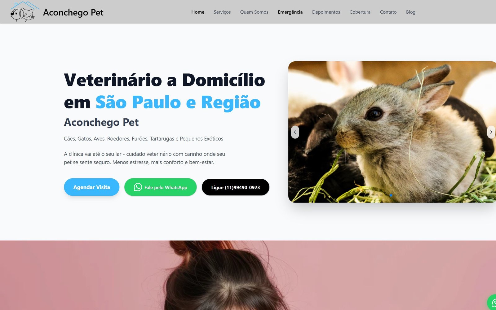 Home do Domicílio Vet